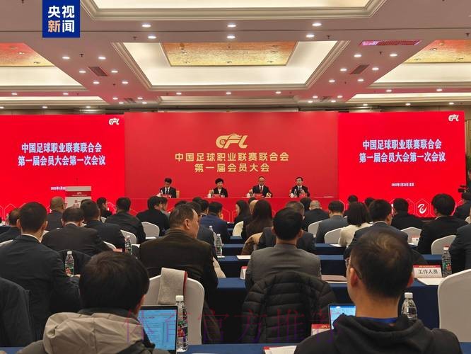 第十届中国足球协会第十次执委会会议在京召开